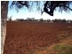Gunnedah NSW 2380