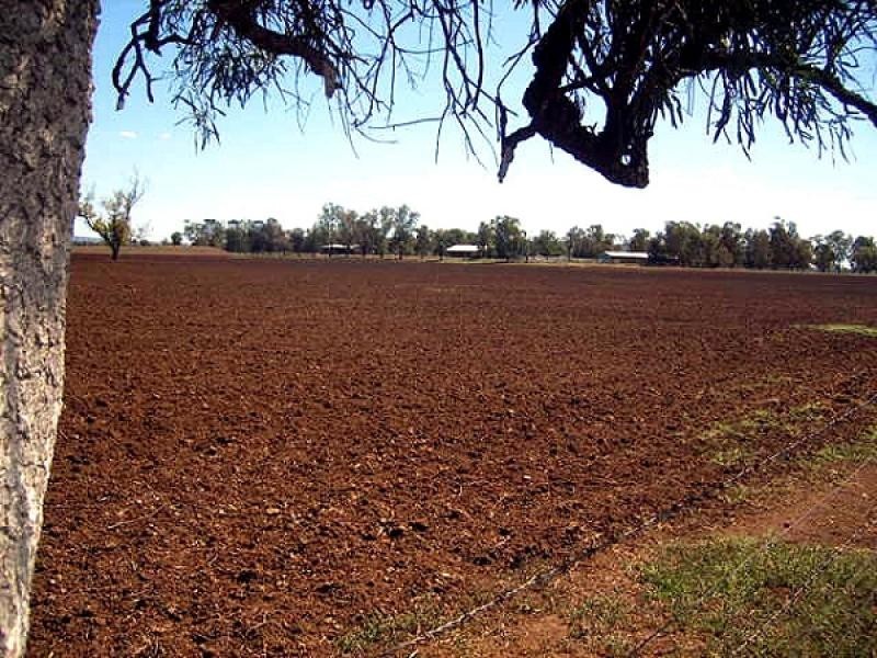Gunnedah NSW 2380