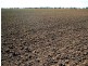 Gunnedah NSW 2380