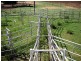 Gunnedah NSW 2380
