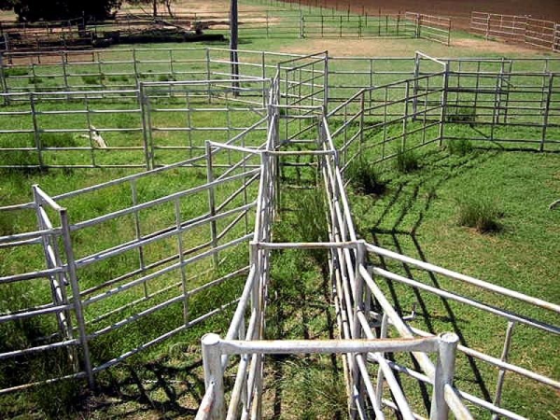 Gunnedah NSW 2380
