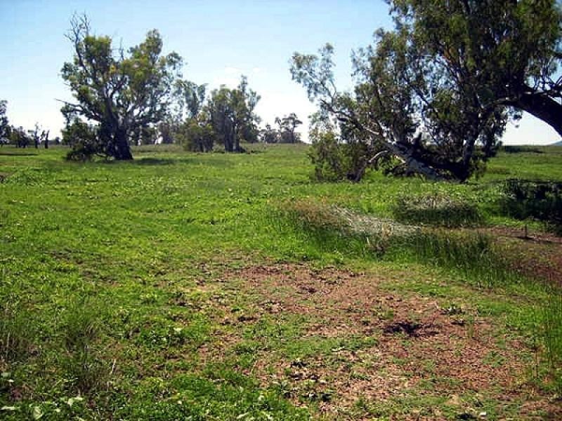 Gunnedah NSW 2380