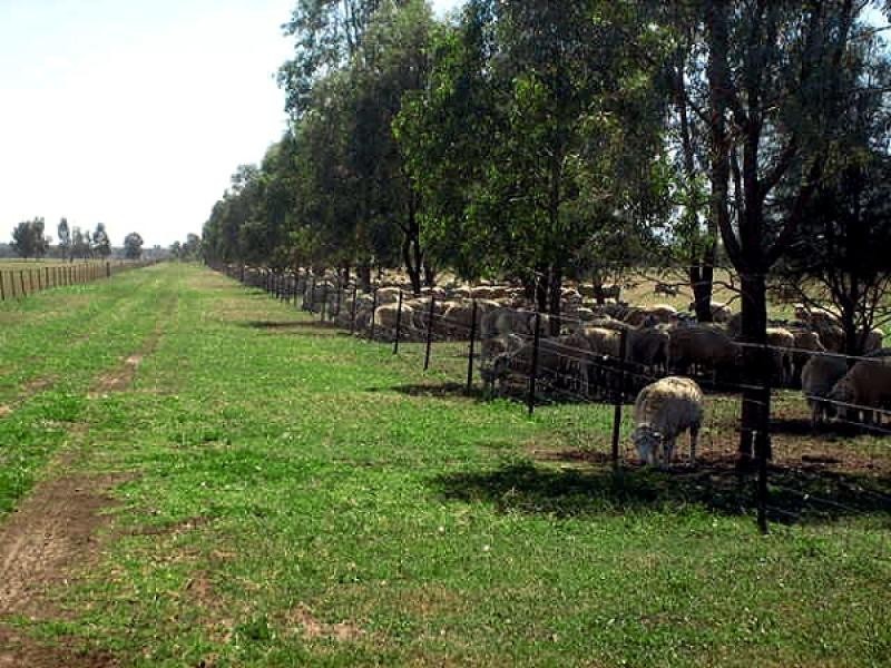 Gunnedah NSW 2380