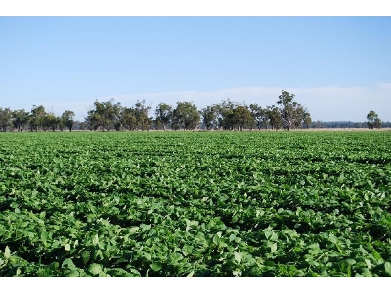 Boggabri NSW 2382