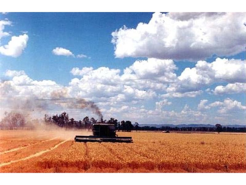 Boggabri NSW 2382