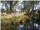1 McIntyre Road Barraba, Barraba NSW 2347