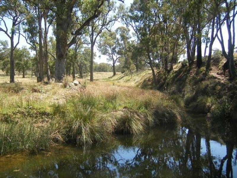 1 McIntyre Road Barraba, Barraba NSW 2347