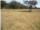 1 McIntyre Road Barraba, Barraba NSW 2347