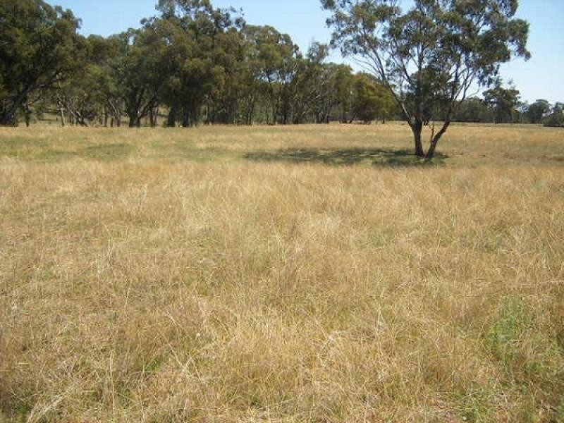 1 McIntyre Road Barraba, Barraba NSW 2347