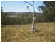 1 McIntyre Road Barraba, Barraba NSW 2347