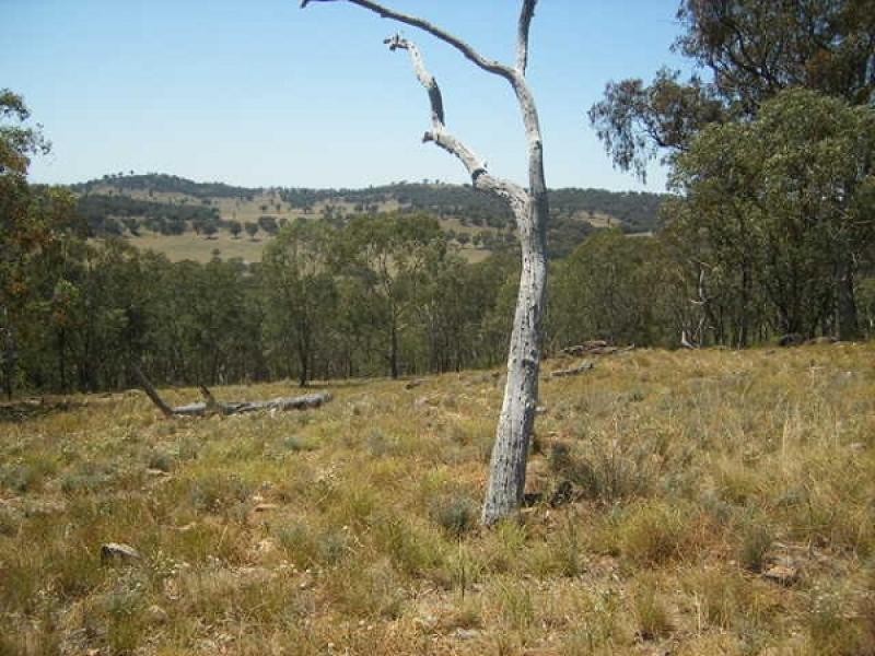 1 McIntyre Road Barraba, Barraba NSW 2347