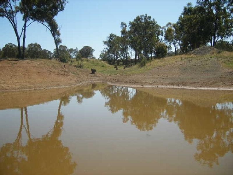 1 McIntyre Road Barraba, Barraba NSW 2347