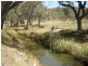 1 McIntyre Road Barraba, Barraba NSW 2347
