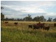Carroll NSW 2340