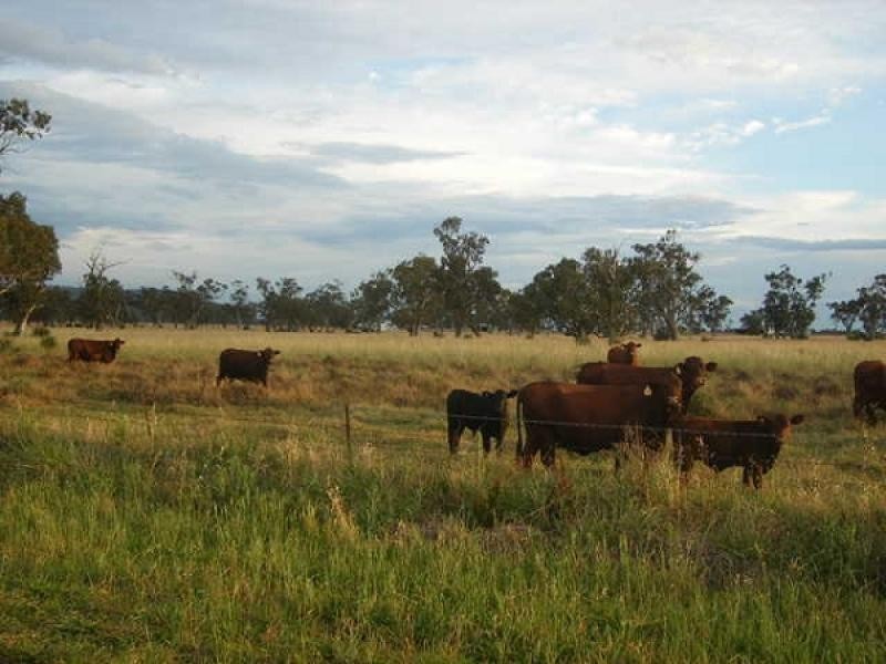 Carroll NSW 2340