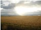 Carroll NSW 2340