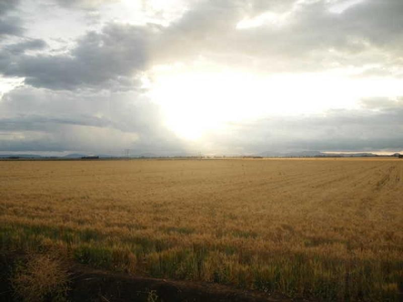 Carroll NSW 2340