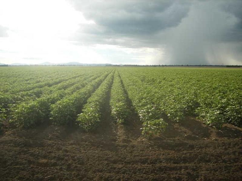 Carroll NSW 2340
