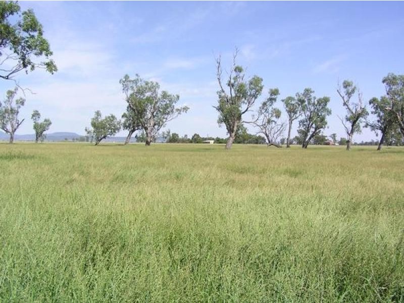 370 Redbank Lane, Gunnedah NSW 2380