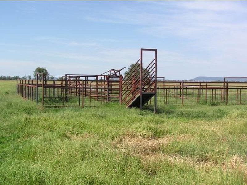 370 Redbank Lane, Gunnedah NSW 2380