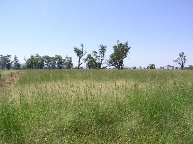 370 Redbank Lane, Gunnedah NSW 2380