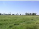 370 Redbank Lane, Gunnedah NSW 2380