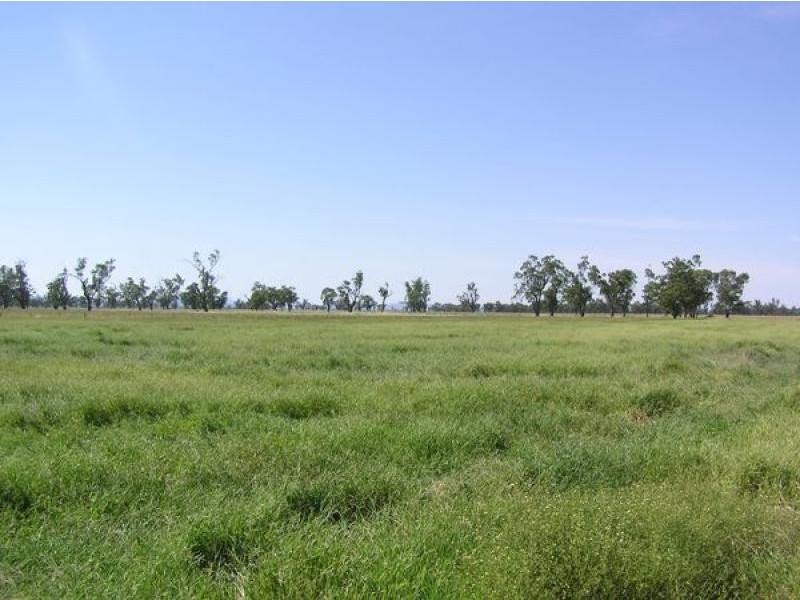 370 Redbank Lane, Gunnedah NSW 2380