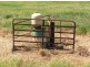 370 Redbank Lane, Gunnedah NSW 2380