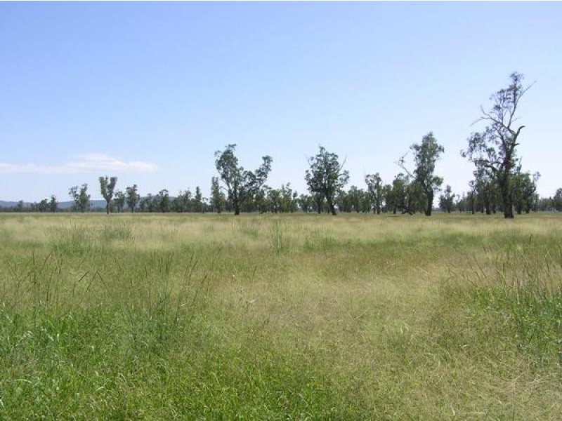 370 Redbank Lane, Gunnedah NSW 2380
