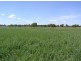 Boggabri NSW 2382