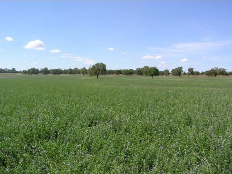 Boggabri NSW 2382