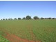 Boggabri NSW 2382