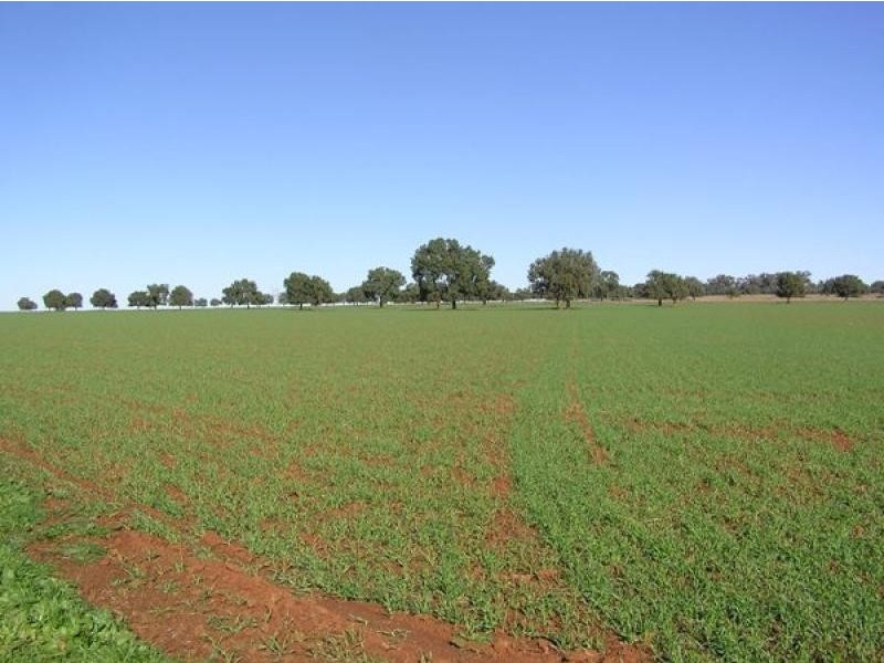 Boggabri NSW 2382