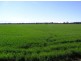 Boggabri NSW 2382