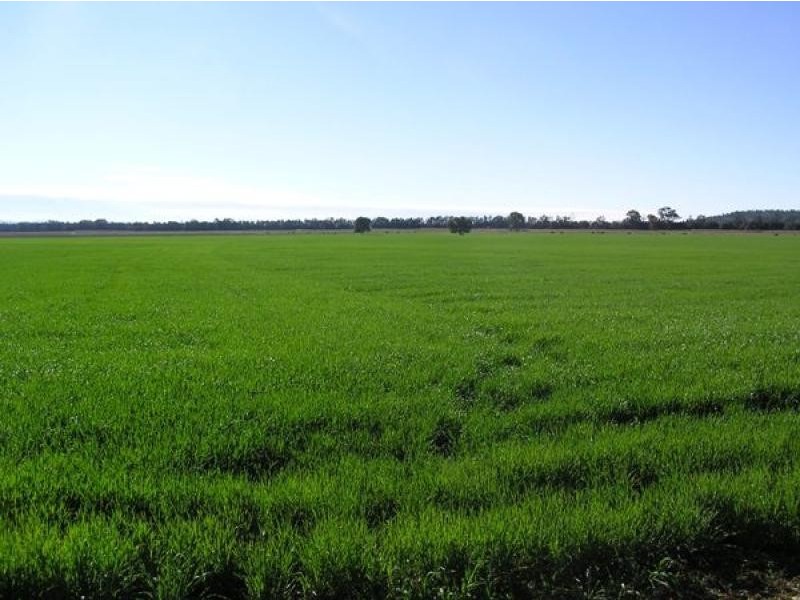 Boggabri NSW 2382