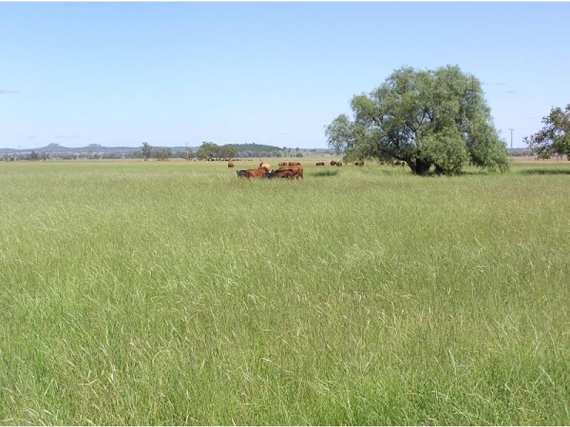 Boggabri NSW 2382