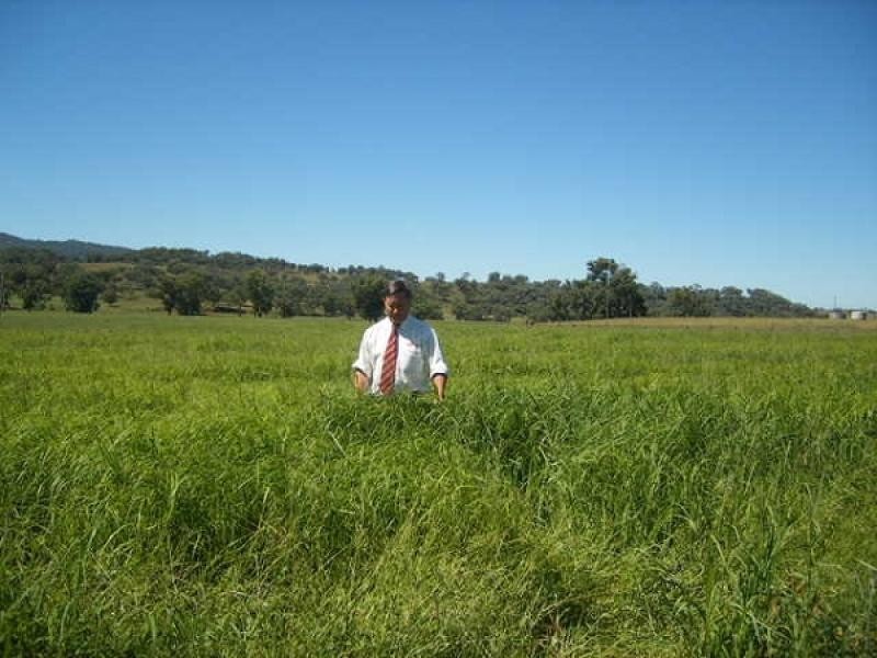 Tambar Springs NSW 2381