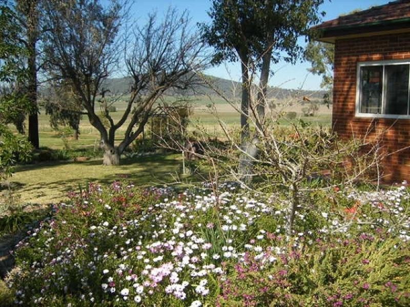 Gunnedah NSW 2380