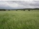 20 kms South of, Binnaway NSW 2395