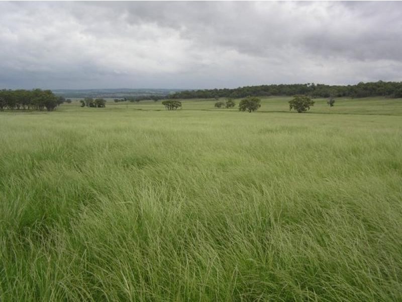 20 kms South of, Binnaway NSW 2395