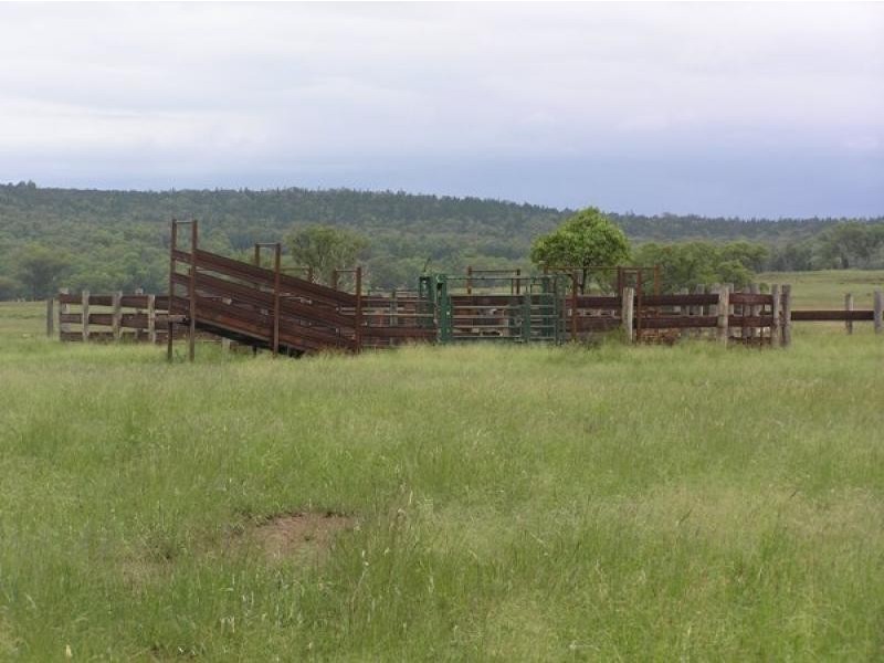 20 kms South of, Binnaway NSW 2395