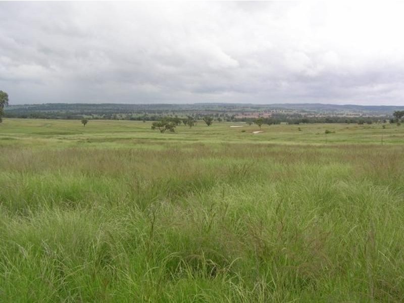 20 kms South of, Binnaway NSW 2395