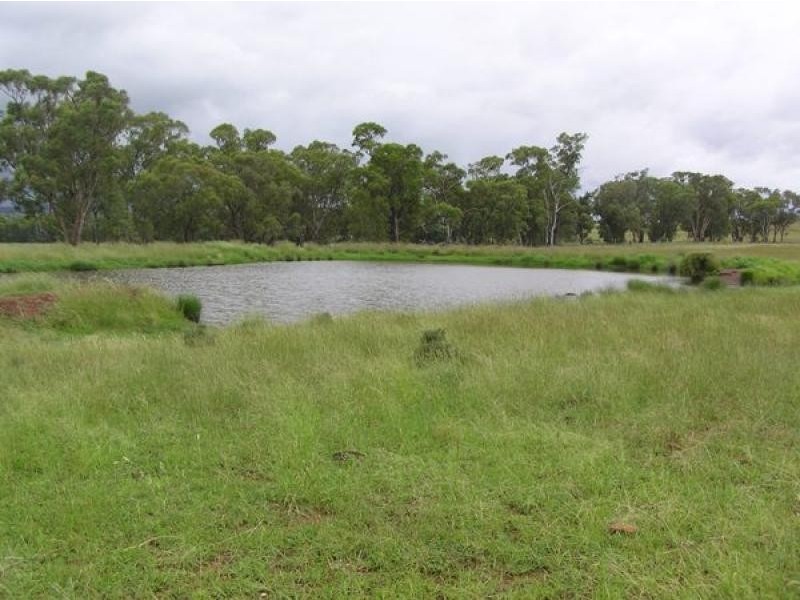 20 kms South of, Binnaway NSW 2395