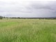 20 kms South of, Binnaway NSW 2395