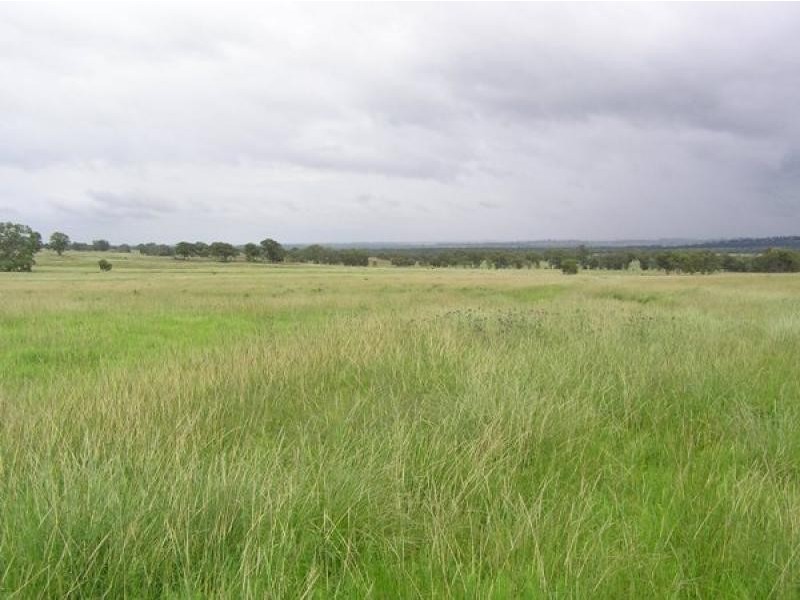 20 kms South of, Binnaway NSW 2395