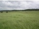 20 kms South of, Binnaway NSW 2395