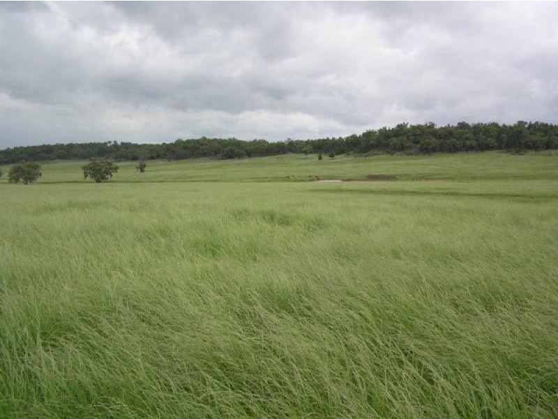 20 kms South of, Binnaway NSW 2395
