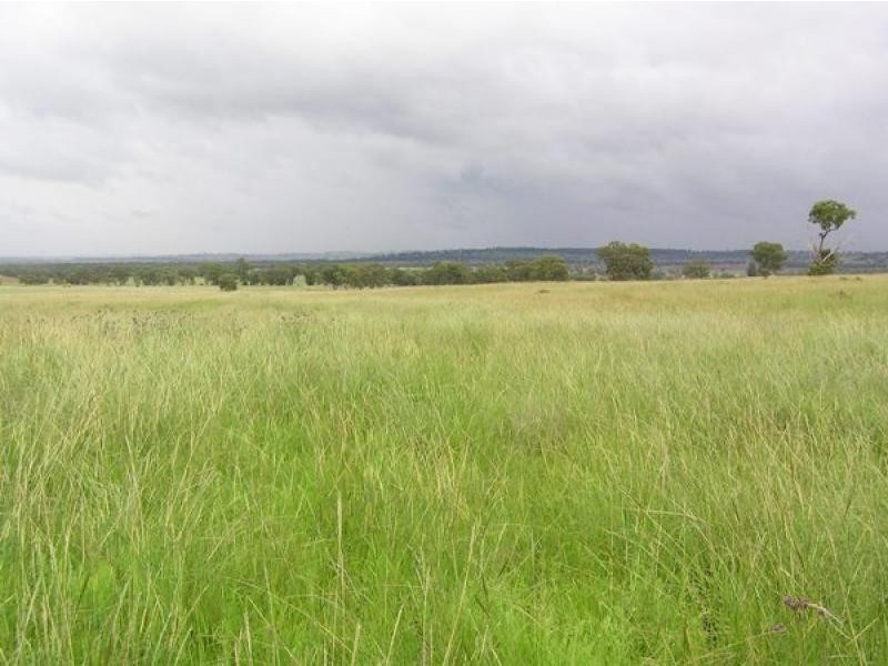 20 kms South of, Binnaway NSW 2395