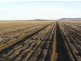 Gunnedah NSW 2380