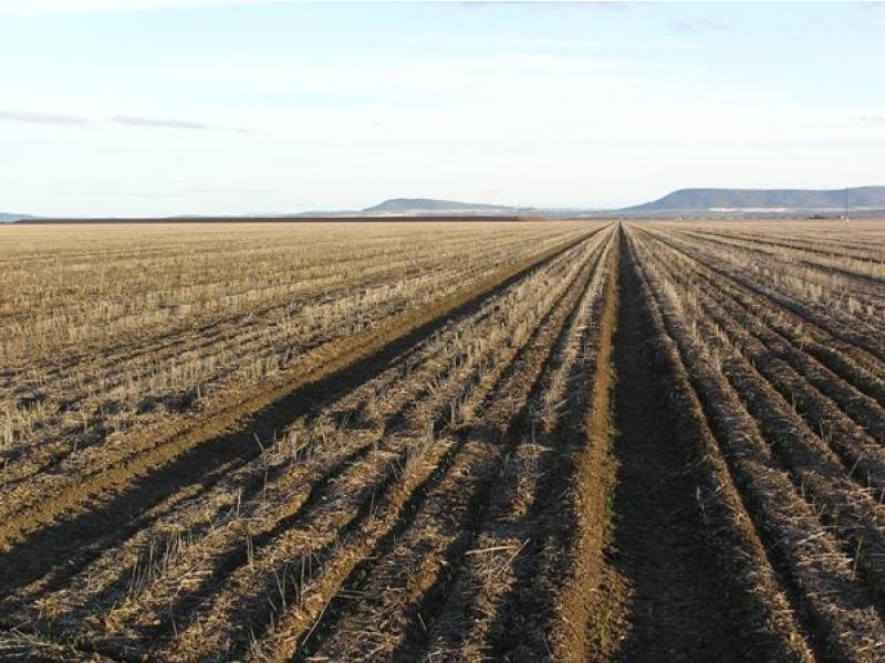Gunnedah NSW 2380
